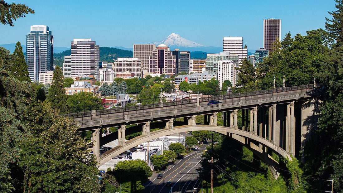 Where Can I Buy a Gun in Portland, Oregon? A Local Buyer's Guide